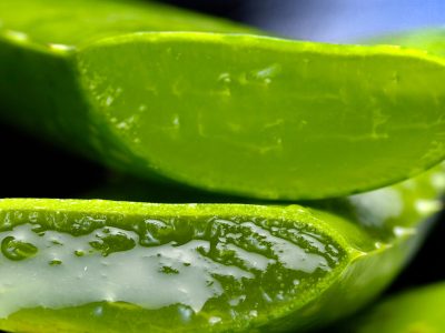 wallpaperflarecom_wallpaper (16)1111111